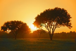 david banning BKrI50Vjm3I unsplash